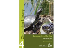 European Pond Turtle Emys Orbicularis